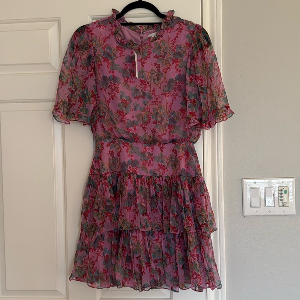 NWT SALONI Mulberry Blush Dress